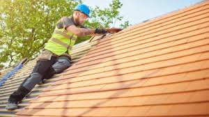 Best Steel Roofing  in Clayton, CA