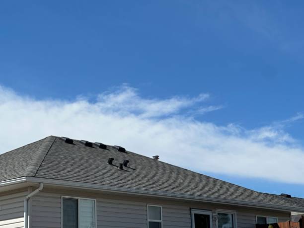 Best Chimney Flashing Repair  in Clayton, CA